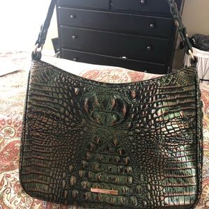 Brahmin Noelle